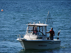 halfmoon bay boating